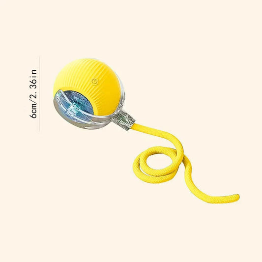 Automatic Bouncing Pet Toy Ball – USB Rechargeable Smart Dog Toy for Active Play